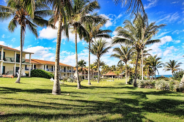 hotels