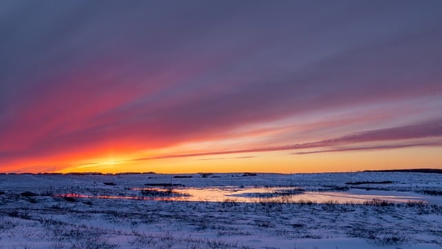 landscapes