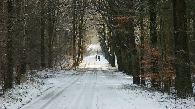 landscapes
